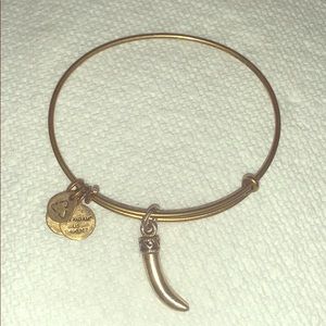 Alex and Ani Horn Bracelet